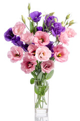 Naklejka na ściany i meble bunch of violet and pink eustoma flowers in glass vase isolated
