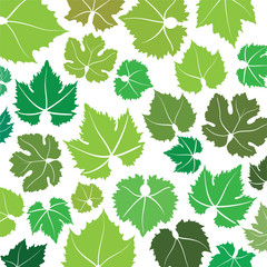 Fototapeta na wymiar pattern with wine grape leaves
