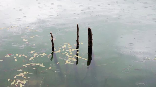 G&ouml;l ve Yağmur