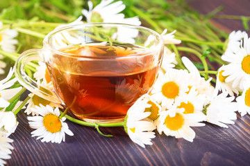 Chamomile tea in a transparent cup. The concept of herbal medicine.