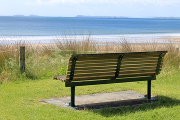 bench in a park at the beach
