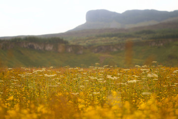 Eigg mountain