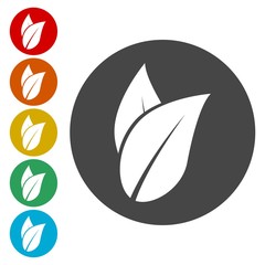 Icon leaf on circle