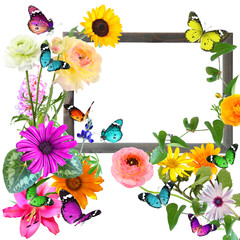 Nature art composition - Colorful flowers, butterflies and ladybug. Wooden frame with blank space (for photo,picture or text). Isolated on white background