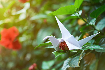 paper crane with small rose