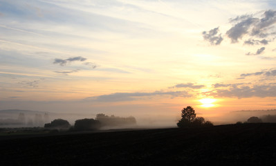 Dawn over rural countryside