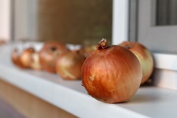 Golden onions on a window sill