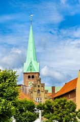 Fototapeta na wymiar Saint Olaf cathedral in the old town of Helsingor - Denmark