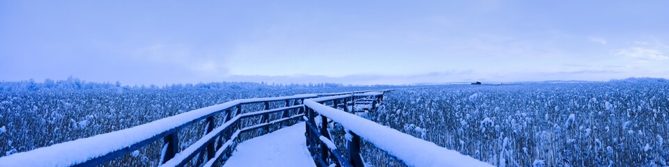 Kalter Wintermorgen am Federsee