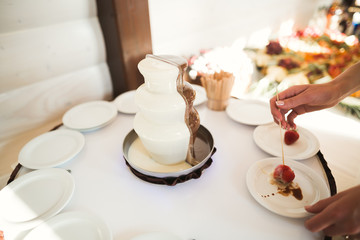 Buffet with a variety of delicious sweets, food ideas, celebration