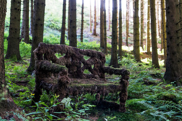 Moosbank mitten im Wald, Sauerland