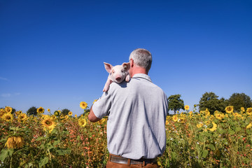 Mann von hinten mit Ferkel auf der Schulter vor Sonnenblumenfeld