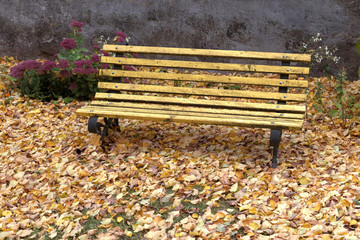 old wooden bench in city park. natural vintage autumn background