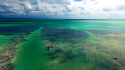 Luftaufnahme der Küste von Florida © jovannig