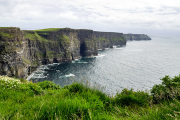 Obraz premium Irland - Cliffs of Moher