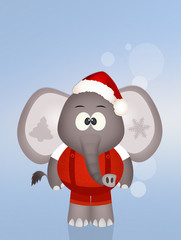 funny elephant at Christmas
