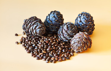Cedar cones and nuts on a beige background