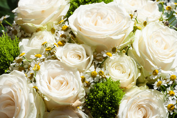 Weisser Rosenstrauss
