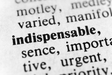 Obraz premium Indispensable