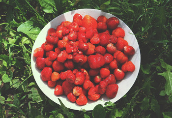 Fresh ripe strawberry