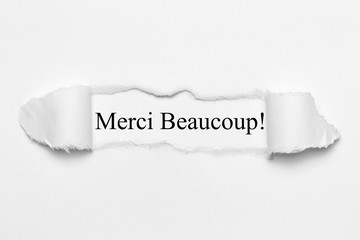 Merci Beaucoup!