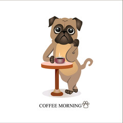Pug drinks coffee. Pug intellectual
