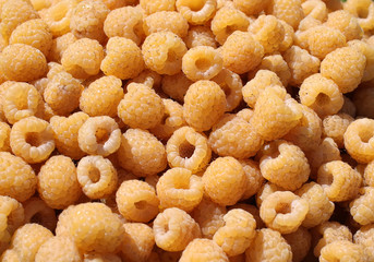 Fresh yellow raspberries