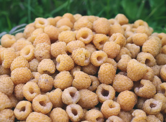 Fresh yellow raspberries