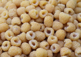 Fresh yellow raspberries