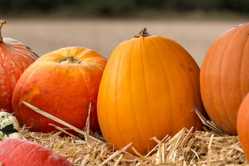 Herbstlich dekorierter Kürbis