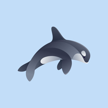 Orca whale vector character.