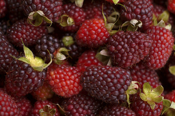 Moras