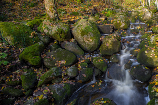 Water stream with green stones and fall yellow leavs.