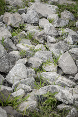 The ground is rocky with little vegetation.