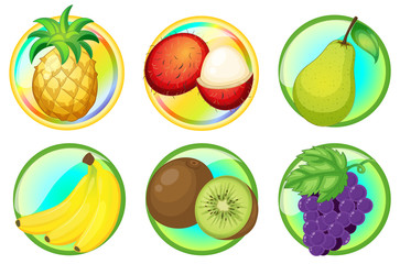 Fresh fruits on round badges