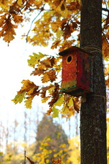 Nesting box. Bird's home