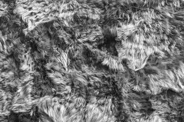 Fur texture in grayscale