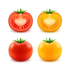 Vector Set of Big Ripe Red Yellow Green Fresh Cut Whole Tomatoes Close up Isolated on White Background