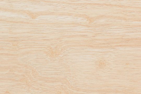 Texture of wood background 