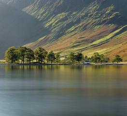 Fototapeta na wymiar Row of Pine Tree's a long lakeshore at Buttermere in the English Lake District on an Autumn morning.