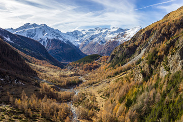 Autumn colors in high mountain, Cogne valley, Aosta Italy
