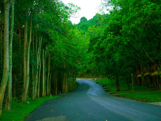 Fototapeta premium OLYMPUS DIGITAL CAMERA