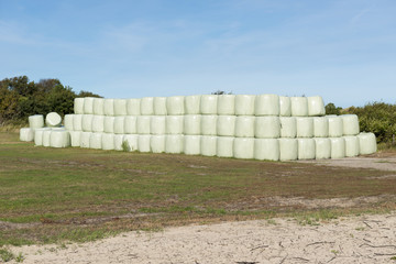 Obraz premium Stacked hay bales wrapped in plastic.