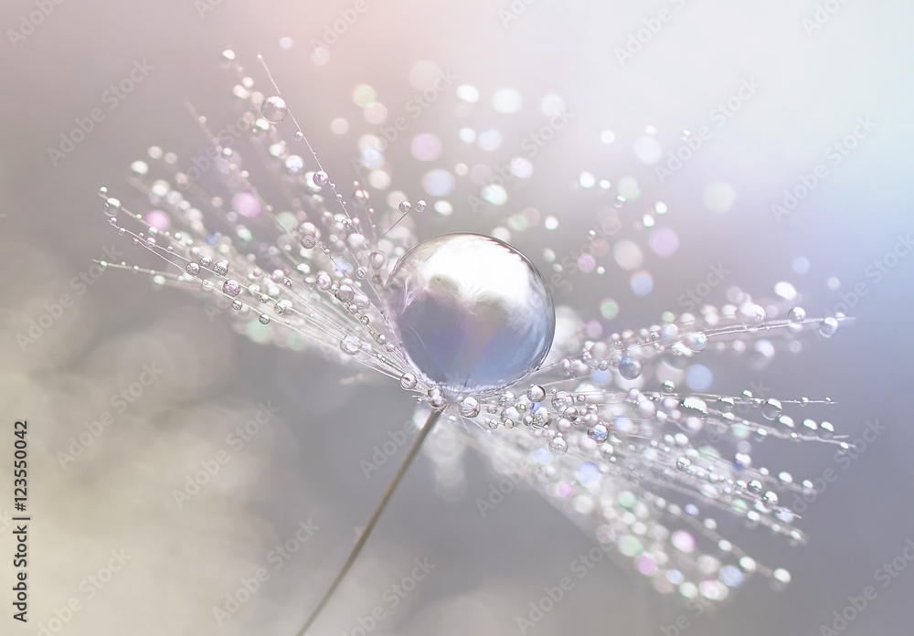 Aufkleber beautiful dew drops on a dandelion seed macro. beautiful blue background. large golden dew drops on 