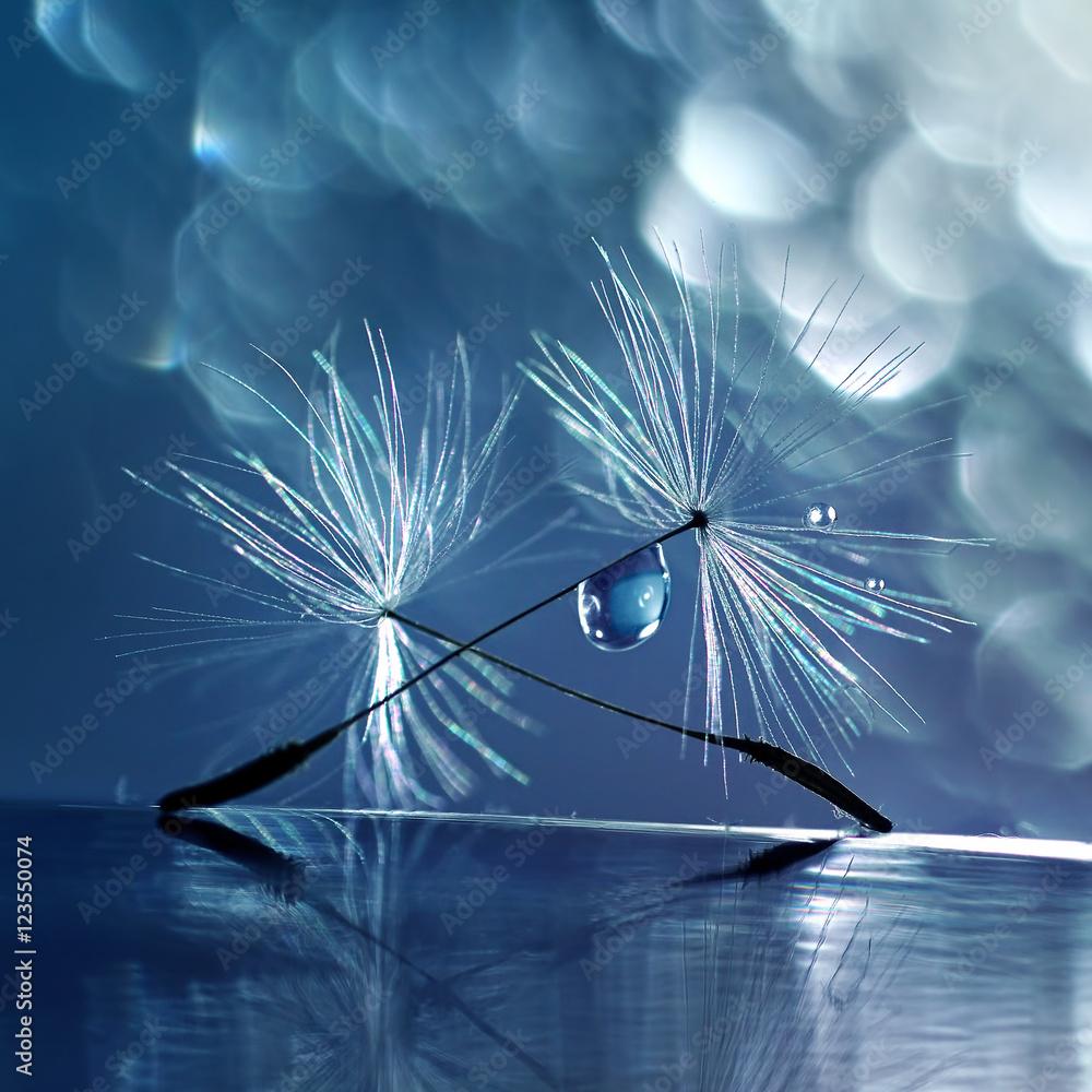 Aufkleber beautiful dew drops on a dandelion seed macro. beautiful blue background. large golden dew drops on 