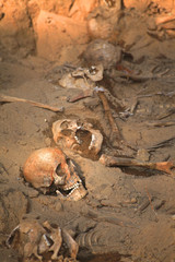 apocalypse concept skull and bones abstrarct background