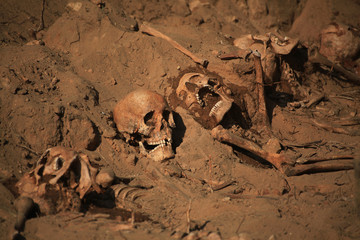 apocalypse concept skull and bones abstrarct background