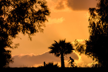 Fototapeta na wymiar Bicycle and trees silhouette with cloudy orande sunset