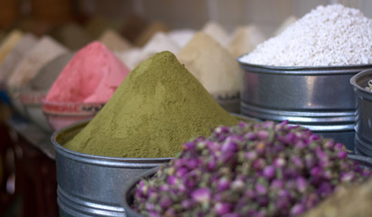 Cactus flowers, spices, colors