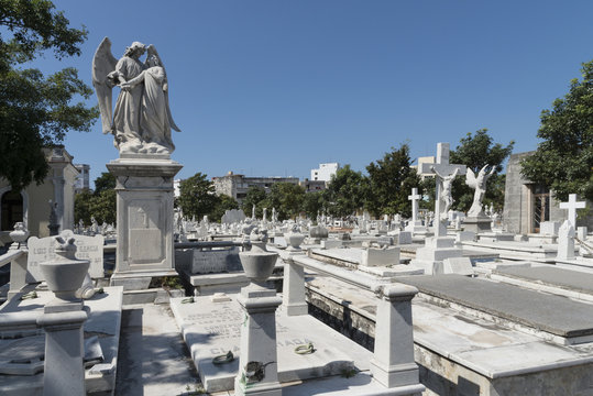  Kuba, Havanna; Friedhof  " Necropolis Cristobal Colon "